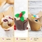 Revêtements de Tulip Baking Paper Cup Cupcake de revêtement de petit pain 7,7 x 3,5 x 3,3 pouces