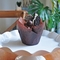 Mini 30mm enveloppe de Tulip Paper Baking Cups Muffin du revêtement régulier blanche